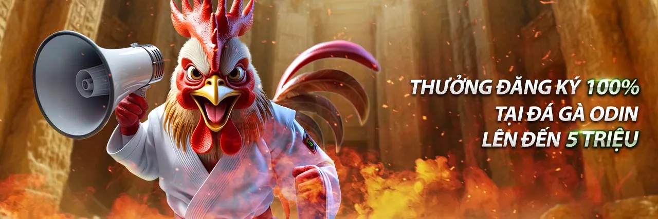 Hình ảnh chính Tin Tức WinWin Đăng Nhập 2026